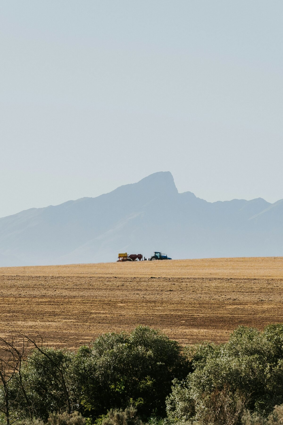 Agricultural fields with logistics trucks