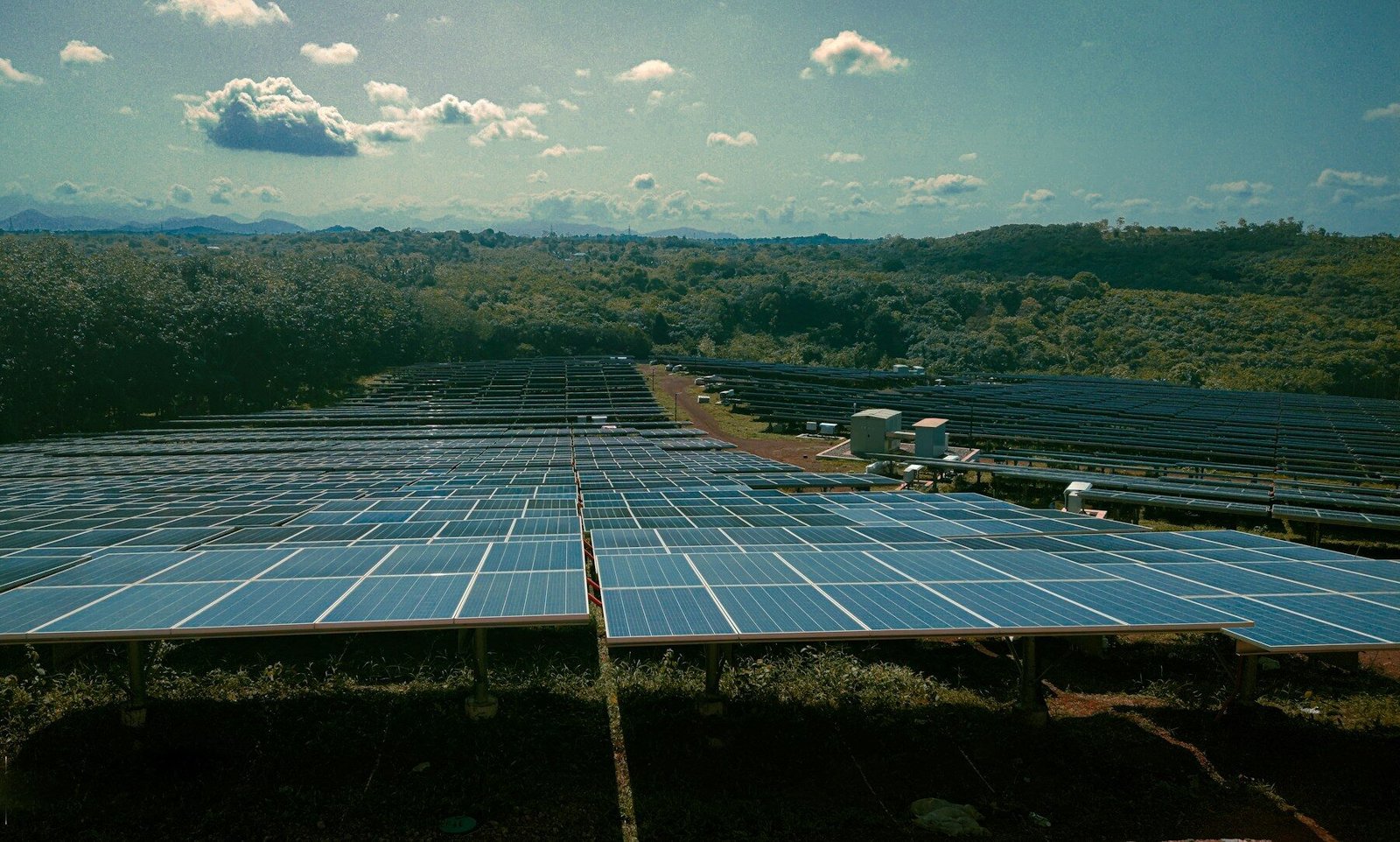 Rows of solar panels at a renewable energy site